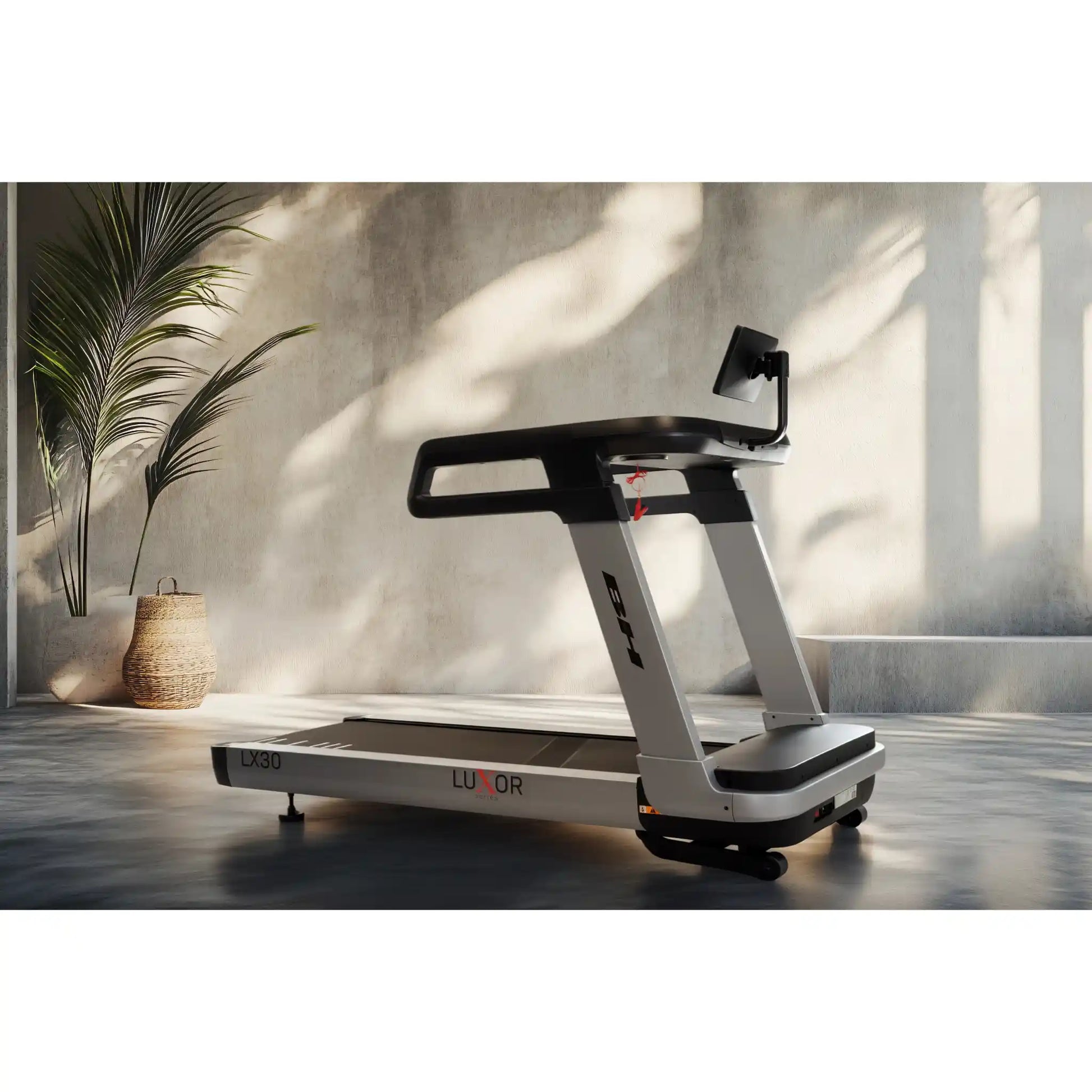Treadmill in a modern indoor setting with a plant and light fixture.
