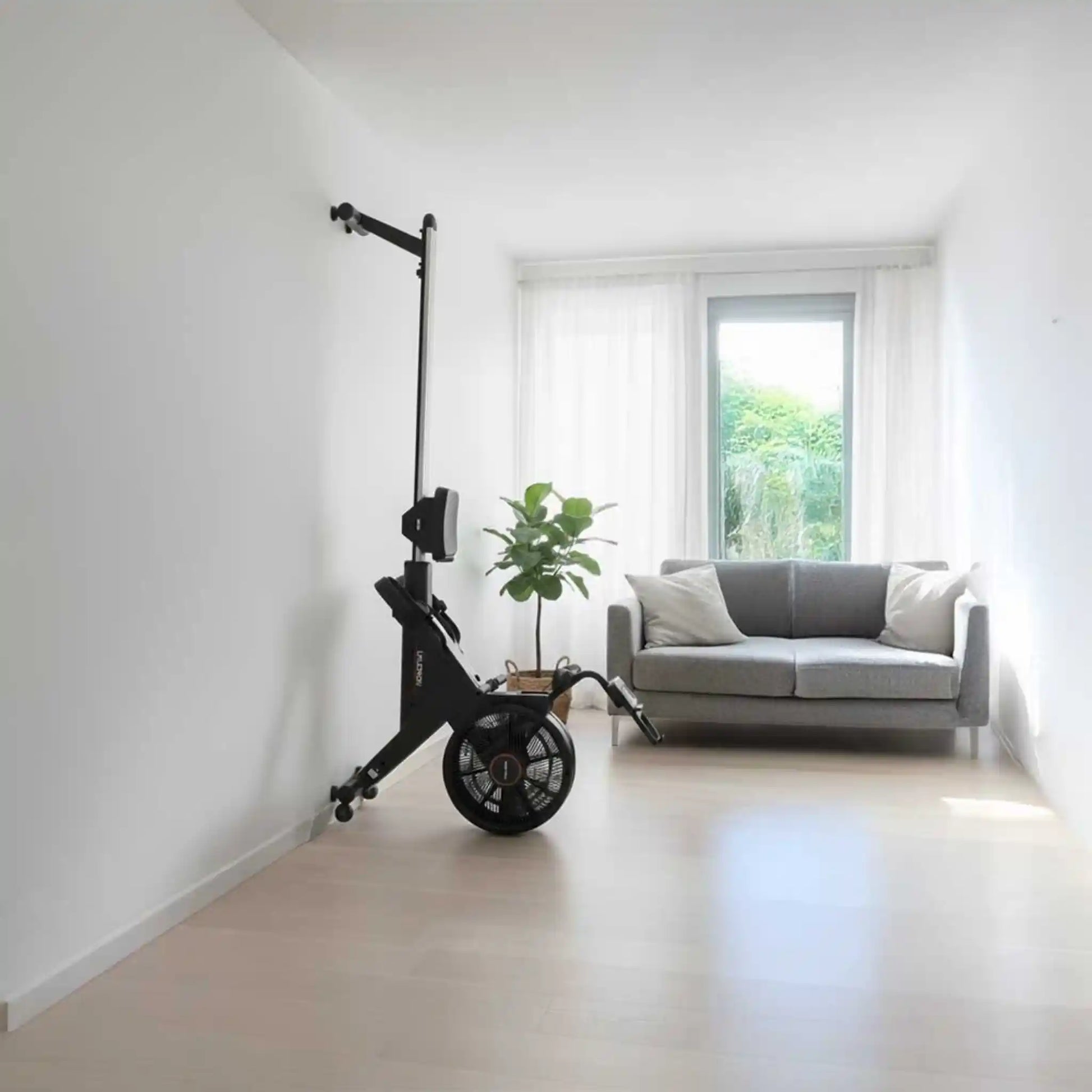 Modern living room with a gray sofa, plant, and black rowing machine against a white wall.